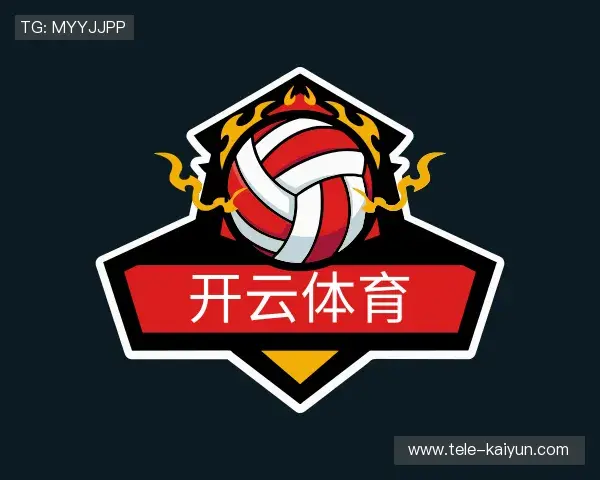 解读开云官网首页